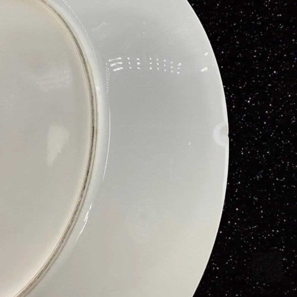 J P L France Limoges Hand Painted Plate Dish Beaded Edges JPL Signed E Carlson‎